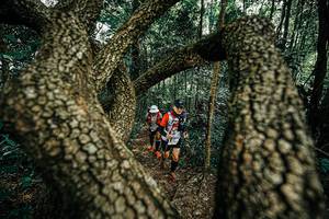 BIB: 
                            <button type="button" onclick="openModal(25392912)" class="btn btn-primary btn-sm float-right btn-popup" data-toggle="modal" data-target=".modal-high-quality">
                        <i class="fas fa-shopping-cart"></i> Add to Cart
                    </button>
                                            <button type="button" onclick="isThisMe(25392912, true)" class="btn btn-success btn-sm float-right btn-popup btn-isme hidden" data-toggle="tooltip" data-placement="bottom" title="นี่คือรูปของคุณใช่ไหม คลิกที่นี่เพื่อเอาเข้าอัลบั้ม">
                        <i class="fas fa-plus"></i> Add to album
                    </button>
                    <button type="button" onclick="isThisMe(25392912, false)" class="btn btn-warning btn-sm float-right btn-popup btn-isnotme hidden">
                        <i class="fas fa-ban"></i> Remove from album
                    </button>